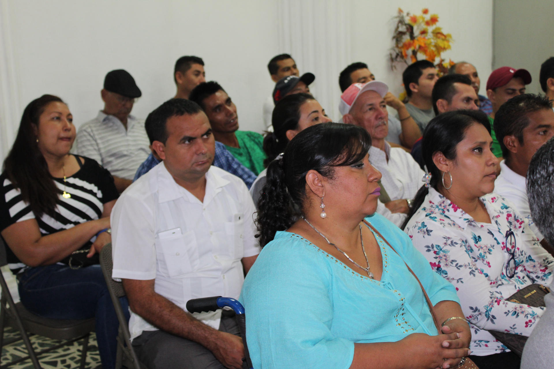 Actividades Publicas
